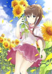 Rule 34 | 1girl, 7 calpis 7, blue sky, blush, bow, brown eyes, brown hair, closed mouth, cloud, cloudy sky, commentary request, day, fingernails, flower, hair between eyes, hair bow, hand up, high ponytail, highres, holding, holding flower, long hair, looking at viewer, neckerchief, original, outdoors, petals, pink bow, pink sailor collar, pink skirt, pleated skirt, ponytail, red neckerchief, sailor collar, school uniform, serafuku, shirt, short sleeves, sidelocks, skirt, sky, smile, solo, sunflower, very long hair, white shirt, yellow flower