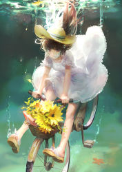 Rule 34 | 1girl, absurdres, air bubble, bicycle, breath, brown eyes, brown hair, bubble, dress, flower, hat, highres, holding breath, long hair, moss (2225028), original, sandals, slippers, solo, submerged, sunflower, underwater