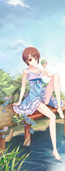 Rule 34 | 1girl, apple, arm at side, bad id, bad pixiv id, bare legs, barefoot, blue dress, breasts, brown eyes, brown hair, bush, cattail, cleavage, collarbone, day, dock, dress, feet, flower, flower request, food, foot dangle, frills, fruit, gathers, green apple, highres, holding, holding food, holding fruit, jin young-in, knee up, legs, looking at viewer, no bra, original, outdoors, plant, ribbon, short hair, sitting, sky, sleeveless, sleeveless dress, small breasts, smile, solo, sundress, very short hair, water