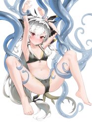 Rule 34 | 1girl, absurdres, arknights, armpits, arms up, barefoot, bikini, black bikini, blush, bow, bow bikini, breasts, chinese commentary, commentary request, full body, grey hair, highres, long hair, looking at viewer, low-tied long hair, navel, red eyes, shin maboroshi, simple background, small breasts, spread legs, swimsuit, tentacles, toes, variant set, very long hair, weedy (arknights), white background