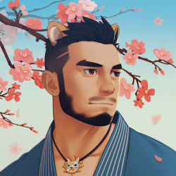 Rule 34 | 1boy, absurdres, alca (wakatanka4), animal ears, bara, beard, black hair, blue kimono, cherry blossoms, close-up, commission, facial hair, highres, japanese clothes, kimono, koji (wildlhz), lion boy, lion ears, looking to the side, male focus, mature male, muscular, muscular male, original, petals, portrait, red eyes, short hair, smile, solo, thick eyebrows