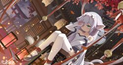 Rule 34 | 1girl, animal ears, aqua eyes, architecture, black thighhighs, cat ears, east asian architecture, hair ornament, henzer, highres, lantern, off shoulder, original, paper lantern, sitting, solo, thighhighs, white hair