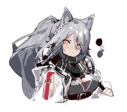 Rule 34 | 1girl, arknights, grey hair, highres, long hair, looking at viewer, midriff, ponytail, schwarz (arknights), see-through, shisantian, simple background, solo, twitter, upper body, white background, yellow eyes