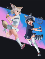 Rule 34 | 2girls, animal ears, ball, beleven, blonde hair, blue dress, blush, brown eyes, collared dress, commentary request, common raccoon (kemono friends), dress, extra ears, fennec (kemono friends), fox ears, fox girl, fox tail, grey hair, highres, kemono friends, kemono friends 3, midriff, multicolored hair, multiple girls, navel, open mouth, paw print soles, pleated dress, pleated skirt, raccoon ears, raccoon girl, raccoon tail, racket, shirt, shoes, short hair, short sleeves, skirt, sneakers, socks, sportswear, sweatdrop, tail, tennis ball, tennis racket, tennis skirt, tennis uniform, thighhighs, white hair, white legwear, white shirt, white skirt, wristband, zettai ryouiki