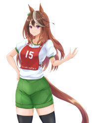 Rule 34 | 1girl, animal ears, black thighhighs, brown hair, character name, closed mouth, commentary, cowboy shot, earrings, green shorts, gym shirt, gym shorts, gym uniform, hand on own hip, highres, horse ears, horse girl, horse tail, jewelry, kemuri (etep3372), long hair, looking at viewer, multicolored hair, purple eyes, race bib, shirt, short sleeves, shorts, simple background, single earring, smile, solo, standing, streaked hair, symboli rudolf (umamusume), t-shirt, tail, thighhighs, translated, umamusume, white background, white hair, white shirt