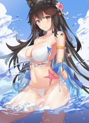 Rule 34 | 1girl, absurdres, animal ears, armband, atago (azur lane), atago (summer march) (azur lane), azur lane, bikini, black hair, blue sky, breasts, brown eyes, chinese commentary, cloud, commentary request, cowboy shot, day, extra ears, flower, hair flower, hair ornament, highres, large breasts, long hair, looking at viewer, mole, mole under eye, outdoors, resolution mismatch, sky, solo, source larger, starfish, swimsuit, water, white bikini, wjn-rance