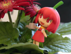 Rule 34 | chibi, chibi only, chili pepper, figure, flower, habanero-tan, habanero pepper, photo (medium), plant, solo, watering can