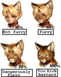 Rule 34 | animal ears, body fur, cat, cat ears, chart, collar, diagram, furry, furry female, furry male, lowres, po-ju