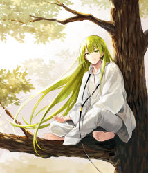 Rule 34 | 1other, androgynous, barefoot, black neckwear, crossed legs, enkidu (fate), fate/grand order, fate/strange fake, fate (series), green eyes, green hair, ima (luce365), in tree, long hair, long sleeves, looking at viewer, outdoors, pants, robe, sitting, sitting in tree, tree, very long hair, white pants, white robe