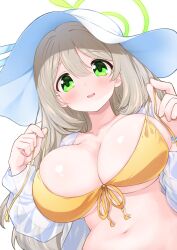 Rule 34 | 1girl, bikini, blue archive, blush, breasts, collarbone, green eyes, green halo, hair between eyes, halo, hat, highres, jacket, large breasts, light brown hair, long hair, long sleeves, navel, nonomi (blue archive), nonomi (swimsuit) (blue archive), official alternate costume, open clothes, open jacket, open mouth, see-through, see-through jacket, simple background, smile, solo, sota, sun hat, swimsuit, upper body, white background, white hat, white jacket, yellow bikini