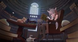 Rule 34 | 1girl, animal, animal ears, antenna hair, arknights, bare shoulders, blue eyes, book, commentary request, fox, fox ears, fox girl, fox tail, gloves, grey hair, highres, holding, holding book, indoors, library, looking at viewer, medic, pantyhose, radio1985head, shoes, unworn shoes, solo focus, sussurro (arknights), tail, white gloves, window
