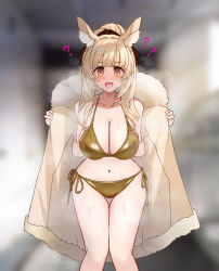 Rule 34 | 1girl, ?, absurdres, animal ears, arknights, bare legs, bare shoulders, bikini, bikini under clothes, blemishine (arknights), blonde hair, blunt bangs, blurry, blurry background, blush, breasts, brown bikini, brown coat, brown eyes, brown ribbon, cleavage, coat, collarbone, depth of field, empty eyes, fur-trimmed coat, fur trim, heart, heart-shaped pupils, highres, horse ears, large breasts, long hair, looking at viewer, navel, off shoulder, open clothes, open coat, open mouth, ponytail, ribbon, side-tie bikini bottom, sidelocks, solo, standing, steaming body, stomach, swimsuit, symbol-shaped pupils, thigh gap, undressing