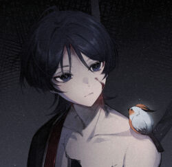 Rule 34 | 1boy, ahoge, bird, black hair, black shirt, blood, blood on face, blunt ends, broken skin, cable, closed mouth, collarbone, eyeshadow, feathered wings, genshin impact, grey background, grey feathers, hair between eyes, half-closed eyes, highres, looking to the side, makeup, male focus, nekomi 0, no headwear, open clothes, open shirt, purple eyes, red eyeshadow, scaramouche (genshin impact), shirt, short hair, short sleeves, simple background, single bare shoulder, solo, upper body, wings