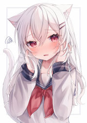 Rule 34 | 1girl, animal ear fluff, animal ears, black sailor collar, blush, cat ears, cat girl, cat tail, commentary request, fang, hair between eyes, hair ornament, hairclip, hands up, highres, long sleeves, looking at viewer, neckerchief, original, parted lips, puffy long sleeves, puffy sleeves, red eyes, red neckerchief, ringouulu, sailor collar, school uniform, serafuku, shirt, solo, squiggle, tail, upper body, wavy mouth, white background, white hair, white shirt