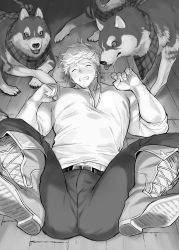 Rule 34 | 1boy, absurdres, animal, bara, belt, boots, breasts, cleavage, clenched teeth, closed eyes, dog, granblue fantasy, greyscale, highres, large pectorals, legs up, lying, migi (mm86262394), monochrome, muscular, muscular male, on back, pants, pectorals, shirt, short hair, teeth, vane (granblue fantasy)
