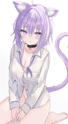 Rule 34 | 1girl, absurdres, ahoge, animal collar, animal ear fluff, animal ears, barefoot, black collar, blue hair, blush, breasts, cat ears, cat girl, cat tail, cleavage, collar, colored inner hair, commentary, highres, hololive, large breasts, long sleeves, looking at viewer, multicolored hair, naked shirt, nekomata okayu, nekomata okayu (oversized shirt), official alternate costume, purple eyes, purple hair, purple ribbon, revision, ribbon, shirt, short hair, solo, tail, tamamorh, virtual youtuber, white shirt