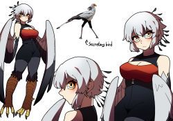 Rule 34 | 1girl, animal, bad id, bad pixiv id, bird, bird legs, breasts, brown eyes, cleavage, cleavage cutout, clothing cutout, feathered wings, feathers, gomulgong, harpy, high-waist shorts, highres, monster girl, original, personification, profile, secretarybird, shorts, sidelocks, sideways glance, simple background, torn clothes, white background, white hair, winged arms, wings