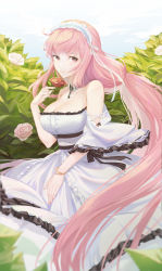 Rule 34 | 1girl, absurdly long hair, azur lane, bare shoulders, breasts, cleavage, collar, detached collar, dress, flower, frilled dress, frills, garden, gold bracelet, highres, holding, holding flower, jewelry, key, key necklace, large breasts, long dress, long hair, looking at viewer, necklace, olin (nienxddd), perseus (azur lane), pink eyes, pink flower, pink hair, red flower, strapless, strapless dress, very long hair, white collar, white dress, wide sleeves