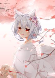 Rule 34 | 1girl, alternate hairstyle, animal ear fluff, animal ears, arms up, azur lane, blurry, blush, branch, bride, cat ears, cherry blossoms, commentary request, day, depth of field, disembodied limb, ebichiri sunday, fang, flower, from side, hair flower, hair ornament, hair up, highres, holding hands, japanese clothes, kimono, looking to the side, open mouth, outdoors, petals, red eyes, silver hair, skin fang, solo focus, standing, string, string of fate, uchikake, upper body, white kimono, yukikaze (azur lane), yukikaze (the warmth of spring) (azur lane)