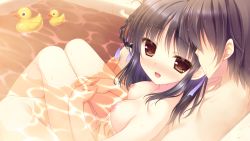 Rule 34 | 1boy, 1girl, :d, bare legs, bare shoulders, bath, bathroom, bathtub, black hair, blush, braid, braided hair rings, breasts, brown eyes, brown hair, censored, collarbone, couple, faceless, faceless male, fingernails, full-face blush, game cg, hair between eyes, hair ribbon, hair rings, happy, highres, indoors, kimi e okuru sora no hana, kitao sekka, knees, leaning back, leaning on person, legs, long hair, long image, looking at viewer, looking back, mixed-sex bathing, mosaic censoring, nipples, nude, open mouth, own hands clasped, own hands together, ribbon, rubber duck, shared bathing, sitting, small breasts, smile, water, wet, wet hair, wide image, yukie (peach candy)