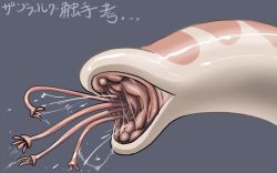 Rule 34 | clitoris, close-up, monster, pussy, sashizume soutarou, slime, tentacles, translation request, zanburg