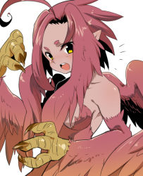 Rule 34 | 1girl, breasts, claws, cleavage, feathers, female focus, harpy, mofuaki, monster girl, original, pink hair, pointy ears, solo, wings, yellow eyes