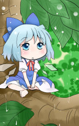 Rule 34 | 1girl, barefoot, blue eyes, blue hair, bow, cirno, hair bow, hair ornament, hair ribbon, highres, ice, ice wings, looking up, matching hair/eyes, open mouth, rain, ribbon, short hair, sitting, solo, touhou, tree, branch, wings, yuzuna99