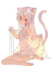 Rule 34 | 1girl, animal ear fluff, animal ears, barefoot, breasts, cat ears, cat girl, cat tail, claw pose, clothes lift, dress, dress lift, full body, highres, lifting own clothes, long hair, looking at viewer, original, panties, red eyes, see-through, see-through dress, see-through silhouette, shiro youduki, simple background, sitting, sleeveless, sleeveless dress, small breasts, tail, underwear, very long hair, wariza, white background, white hair, white panties