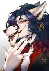 Rule 34 | 1boy, black choker, blue hair, body fur, bracelet, brown jacket, choker, claws, collared jacket, collared shirt, ear piercing, fangs, furry, furry male, gradient background, gradient hair, grey background, hand up, highres, jacket, jewelry, kemonomichi (blue black), licking, licking finger, long hair, looking at viewer, male focus, multicolored eyes, multicolored hair, open mouth, original, pendant choker, piercing, portrait, purple hair, red eyes, red hair, red shirt, ring, shirt, smile, solo, tongue, tongue out, white background, white fur, wolf boy, yellow eyes