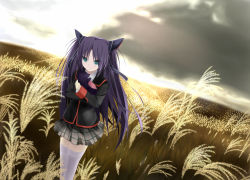 Rule 34 | 1girl, blue hair, cat, green eyes, little busters!, long hair, md5 mismatch, resolution mismatch, ribbon, rino (monochrome rino), sasasegawa sasami, school uniform, solo, source larger, thighhighs, twintails, wheat field