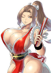 Rule 34 | 1girl, breasts, fatal fury, highres, large breasts, long hair, ponytail, shiranui mai, solo