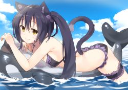 Rule 34 | 1girl, animal ear fluff, animal ears, ass, bare arms, bare shoulders, bikini, black bikini, black hair, blue sky, breasts, bridal garter, brown eyes, cat ears, cat girl, cat tail, closed mouth, cloud, collarbone, commentary request, day, frilled bikini, frills, hair between eyes, inflatable orca, inflatable toy, kutata, long hair, looking at viewer, lying, medium breasts, ocean, on stomach, original, outdoors, purple hair, sky, smile, solo, swimsuit, tail, tail raised, transparent, twintails, very long hair, water, yellow eyes