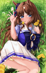 Rule 34 | 1girl, absurdres, animal ears, ass, blush, bow, breasts, brown hair, commentary request, dandelion, ear ornament, feet out of frame, flower, grass wonder (umamusume), hands on own face, highres, horse ears, horse girl, long hair, looking at viewer, medium breasts, mouth hold, multicolored hair, on grass, on ground, panties, pantyshot, puffy short sleeves, puffy sleeves, purple bow, purple shirt, sailor collar, school uniform, shirt, short sleeves, solo, streaked hair, summer uniform, tabunshake, tracen school uniform, umamusume, underwear, upper body, waving, white hair, yellow panties