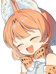 Rule 34 | 1girl, animal ears, bare shoulders, blonde hair, blush, bow, bowtie, cat ears, cat girl, closed eyes, commentary, elbow gloves, extra ears, fang, gloves, kemono friends, mimu umui, multicolored hair, open mouth, print bow, print bowtie, print gloves, serval (kemono friends), serval print, shirt, short hair, sleeveless, smile, solo, upper body, white shirt