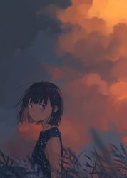 Rule 34 | 1girl, bad id, bad pixiv id, black eyes, black hair, blue sky, cloud, cloudy sky, field, from side, fuyuno kamome, grass, highres, looking at viewer, looking to the side, original, outdoors, scenery, short hair, sky, solo, standing, sunset