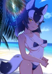 Rule 34 | 1girl, animal ears, bikini, blush, breasts, covered erect nipples, grey wolf (kemono friends), heterochromia, highres, kemono friends, large breasts, looking at viewer, masuyama ryou, navel, ocean, open mouth, outdoors, palm tree, sky, smile, solo, swimsuit, tail, tan, tanline, tree, wolf ears, wolf girl, wolf tail