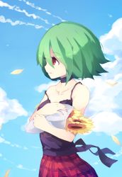 Rule 34 | 1girl, bad id, bad pixiv id, bare arms, black shirt, camisole, choker, cloud, cloudy sky, collarbone, commentary request, day, flower, from side, green hair, hair between eyes, highres, kazami yuuka, lycoraa, petals, plaid, plaid skirt, red eyes, red skirt, shirt, short hair, skirt, sky, smile, solo, strap slip, sunflower, touhou, upper body