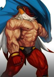 Rule 34 | 1boy, absurdres, bara, bare pectorals, bird mask, blue cloak, cloak, fatal fury, garou: mark of the wolves, gloves, gradient background, grey background, griffon mask, highres, large pectorals, male focus, manly, mask, mexico, muscular, nipples, pectorals, snk, solo, the king of fighters, topless male, traver009, veins, wrestler, wrestling mask, wrestling outfit