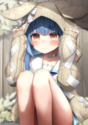 Rule 34 | 1girl, absurdres, animal hood, blue hair, blue neckerchief, blunt bangs, blush, brown cardigan, cable knit, cardigan, cross-laced clothes, cross-laced sleeves, dress, fence, hands on own head, highres, hololive, hood, hood pull, hood up, hooded cardigan, jewelry, knees up, long hair, looking at viewer, neck ring, neckerchief, official alternate costume, official alternate hairstyle, orange eyes, pepushi drow, rabbit-shaped pupils, rabbit hood, sailor collar, sailor dress, short dress, short eyebrows, solo, straight hair, symbol-shaped pupils, tearing up, thick eyebrows, usada pekora, usada pekora (casual), virtual youtuber, white dress, white sailor collar, wooden fence