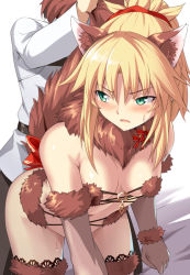 Rule 34 | &gt;:o, 1boy, 1girl, :o, alternate color, animal ears, aqua eyes, bare shoulders, bed sheet, bent over, black hair, black pants, blonde hair, bow, breasts, brown gloves, clenched hand, cosplay, cowboy shot, detached collar, elbow gloves, fang, fate/apocrypha, fate/grand order, fate (series), fujimaru ritsuka (male), fur, fur trim, gloves, green eyes, hair ribbon, halloween, halloween costume, head out of frame, holding another&#039;s tail, implied sex, lace, lace-trimmed legwear, lace trim, long sleeves, looking back, mash kyrielight, mash kyrielight (dangerous beast), mash kyrielight (dangerous beast) (cosplay), mordred (fate), mordred (fate/apocrypha), navel, no panties, official alternate costume, open mouth, pants, ponytail, red bow, red ribbon, red thighhighs, revealing clothes, ribbon, sexually suggestive, shade, shielder (fate/grand order) (cosplay), shiseki hirame, sidelocks, small breasts, solo focus, stomach, strap gap, sweat, tail, thighhighs, v-shaped eyebrows, white background, wolf ears, wolf tail