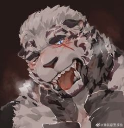 Rule 34 | 1boy, animal ears, arknights, bara, blue eyes, blush, breath, close-up, finger in another&#039;s mouth, furry, furry male, highres, invisible man, looking at viewer, male focus, mountain (arknights), mowang yu, muscular, muscular male, one eye closed, pov, scar, scar across eye, scar on face, sexually suggestive, short hair, solo focus, tiger boy, tiger ears, white fur