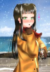 Rule 34 | 1girl, alternate hairstyle, aqua eyes, artist name, artist request, ayase eli, black hair, blue sky, blunt bangs, brown gloves, brown jacket, buttons, can, drink can, female focus, gloves, green eyes, hair ribbon, half-closed eyes, highres, hime cut, holding, holding can, jacket, kurosawa dia, long hair, long sleeves, looking at viewer, love live!, love live! sunshine!!, mole, mole under mouth, night, night sky, red scarf, ribbon, scarf, shirt, sky, soda can, solo, sparkle, twintails, white ribbon, yellow shirt