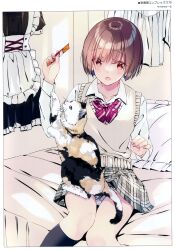 Rule 34 | 1girl, absurdres, animal, apron, bed, blush, bow, bowtie, brown eyes, brown hair, cat, collarbone, dress, frilled dress, frills, grey skirt, highres, holding, indoors, kneehighs, kobayashi chisato, long sleeves, looking at viewer, maid, non-web source, on bed, open mouth, orange eyes, original, panties, pantyshot, pillow, plaid, plaid skirt, pleated skirt, scan, school uniform, shirt, short hair, sitting, skirt, socks, solo, striped clothes, sweater vest, underwear, unworn apron, unworn dress, white panties, white shirt