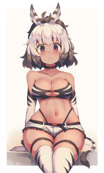 Rule 34 | 1girl, ahoge, animal ears, animal print, bare shoulders, belt, belt buckle, black belt, black choker, breasts, brown background, brown hair, buckle, choker, cleavage, closed mouth, collarbone, commentary request, elbow gloves, frilled shorts, frills, gloves, kuromiya, looking at viewer, medium breasts, multicolored hair, navel, original, red eyes, shimamiya mayuki (kuromiya), short shorts, shorts, skindentation, smile, solo, thighhighs, two-tone background, two-tone hair, white background, white gloves, white hair, white shorts, white thighhighs, zebra ears, zebra girl, zebra print, zebra tail