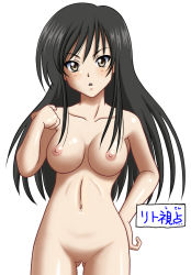 Rule 34 | 1girl, artist request, black hair, blush, breasts, brown eyes, completely nude, kotegawa yui, large breasts, long hair, looking at viewer, nipples, nude, pussy, simple background, source request, to love-ru, uncensored, white background