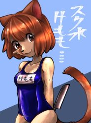 Rule 34 | 19nosizima, 1girl, brown eyes, brown hair, cat, female focus, furry, furry female, one-piece swimsuit, school swimsuit, smile, solo, swimsuit