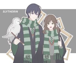 Rule 34 | 1boy, 1girl, :d, bird, black robe, brown hair, closed mouth, crossover, green eyes, green necktie, green scarf, grey skirt, grey vest, harry potter (series), highres, holding, holding brush, holding wand, looking at viewer, marius von hagen (tears of themis), necktie, open mouth, owl, purple eyes, purple hair, robe, rosa (tears of themis), scarf, short hair, skirt, slytherin, smile, tears of themis, vest, wand, wizarding world, yingchuan981