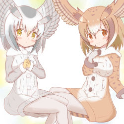 Rule 34 | 2girls, :o, blush, brown eyes, brown hair, brown jacket, brown wings, closed mouth, commentary request, eurasian eagle owl (kemono friends), feathered wings, feet out of frame, gloves, grey gloves, grey hair, grey jacket, grey legwear, grey wings, hair between eyes, head wings, highres, holding, holding spoon, jacket, kemono friends, long sleeves, multicolored hair, multiple girls, northern white-faced owl (kemono friends), orange gloves, pantyhose, parted lips, sitting, smile, spoon, sunanuko (ramuneko), two-tone hair, white hair, wings, yellow eyes