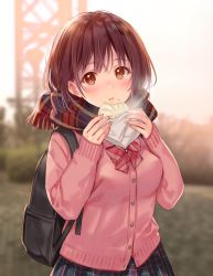 Rule 34 | 1girl, backpack, bag, baozi, black skirt, blurry, blurry background, blush, breasts, brown eyes, brown hair, cardigan, commentary request, depth of field, food, food on face, fringe trim, fukahire (ruinon), holding, holding food, looking at viewer, original, outdoors, parted lips, pink cardigan, plaid, plaid scarf, plaid skirt, pleated skirt, scarf, skirt, small breasts, solo, sunset