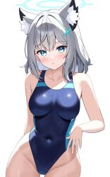 Rule 34 | 1girl, animal ear fluff, animal ears, black one-piece swimsuit, blue archive, blue eyes, breasts, competition swimsuit, covered navel, cowboy shot, cross hair ornament, extra ears, grey hair, hair ornament, halo, highleg, highleg swimsuit, highres, macaro (macaro mogumogu), medium breasts, medium hair, mismatched pupils, multicolored clothes, multicolored swimsuit, official alternate costume, one-piece swimsuit, shiroko (blue archive), shiroko (swimsuit) (blue archive), simple background, solo, swimsuit, white background, wolf ears